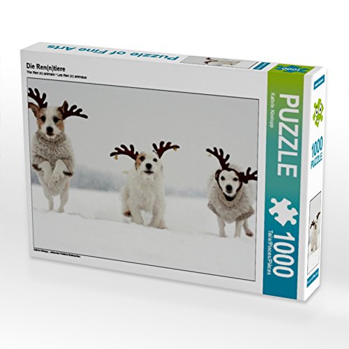 CALVENDO Puzzle Die Ren(n) Tiere 1000 Teile Puzzle quer | 1000 Teile Lege-Größe 64 x 48 cm Foto-Puzzle für glückliche Stunden von CALVENDO