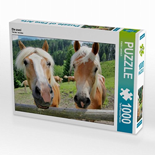 CALVENDO Puzzle Die Zwei 1000 Teile Lege-Größe 64 x 48 cm Foto-Puzzle Bild von Kati Lantzsch von CALVENDO