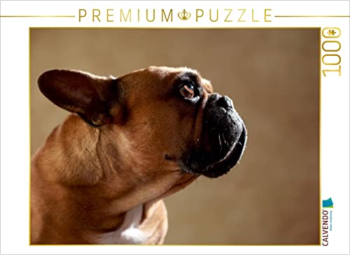 CALVENDO Puzzle Digger, 7 Jahre 1000 Teile Puzzle quer | 1000 Teile Lege-Größe 64 x 48 cm Foto-Puzzle für glückliche Stunden CALVENDO Puzzle Digger, 7 Jahre 1000 Teile Puzzle quer | 1000 Teile Lege-Größe 64 x 48 cm Foto-Puzzle für glückliche Stunden von CALVENDO
