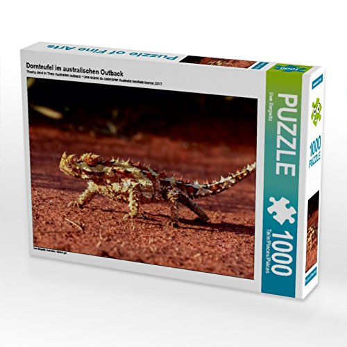 CALVENDO Puzzle Dornteufel im australischen Outback 1000 Teile Puzzle quer | 1000 Teile Lege-Größe 64 x 48 cm Foto-Puzzle für glückliche Stunden CALVENDO Puzzle Dornteufel im australischen Outback 1000 Teile Puzzle quer | 1000 Teile Lege-Größe 64 x 48 cm Foto-Puzzle für glückliche Stunden von CALVENDO
