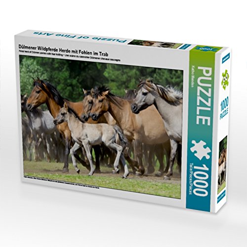 CALVENDO Puzzle Dülmener Wildpferde Herde mit Fohlen im Trab 1000 Teile Puzzle quer | 1000 Teile Lege-Größe 64 x 48 cm Foto-Puzzle für glückliche Stunden CALVENDO Puzzle Dülmener Wildpferde Herde mit Fohlen im Trab 1000 Teile Puzzle quer | 1000 Teile Lege-Größe 64 x 48 cm Foto-Puzzle für glückliche Stunden von CALVENDO