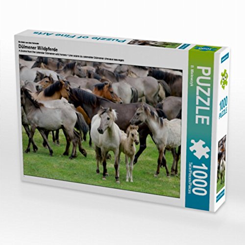 CALVENDO Puzzle Dülmener Wildpferde mit Stute und Fohlen 1000 Teile Puzzle quer | Lege-Größe cm Foto-Puzzle für glückliche Stunden von CALVENDO