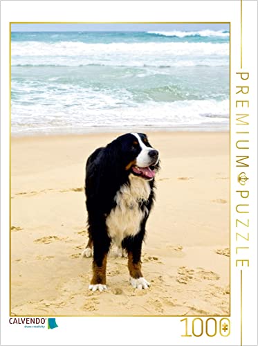 CALVENDO Puzzle EIN Motiv aus dem Kalender BÄR - Der Berner Sennenhund 1000 Teile Puzzle hoch | 1000 Teile Lege-Größe 48 x 64 cm Foto-Puzzle für glückliche Stunden von CALVENDO