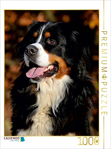CALVENDO Puzzle EIN Motiv aus dem Kalender Berner Sennenhund 2017 1000 Teile Puzzle hoch | 1000 Teile Lege-Größe 48 x 64 cm Foto-Puzzle für glückliche Stunden von CALVENDO