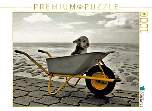 CALVENDO Puzzle EIN Motiv aus dem Kalender Bolonka 2017 1000 Teile Puzzle quer | 1000 Teile Lege-Größe 64 x 48 cm Foto-Puzzle für glückliche Stunden CALVENDO Puzzle EIN Motiv aus dem Kalender Bolonka 2017 1000 Teile Puzzle quer | 1000 Teile Lege-Größe 64 x 48 cm Foto-Puzzle für glückliche Stunden von CALVENDO
