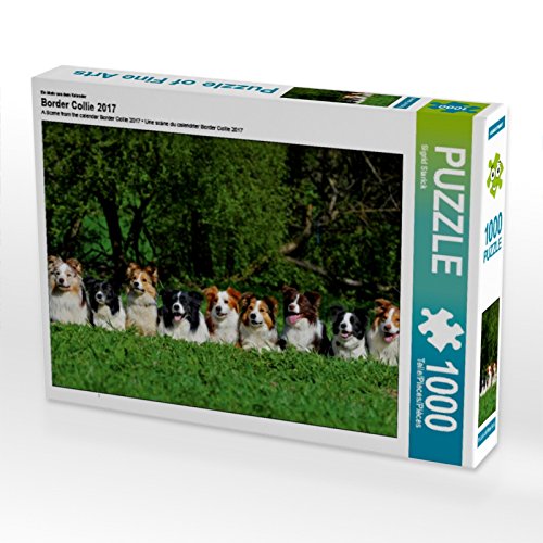 CALVENDO Puzzle EIN Motiv aus dem Kalender Border Collie 2017 1000 Teile Puzzle quer | 1000 Teile Lege-Größe 64 x 48 cm Foto-Puzzle für glückliche Stunden von CALVENDO