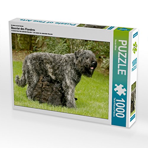 CALVENDO Puzzle EIN Motiv aus dem Kalender Bouvier des Flandres 1000 Teile Puzzle quer | 1000 Teile Lege-Größe 64 x 48 cm Foto-Puzzle für glückliche Stunden CALVENDO Puzzle EIN Motiv aus dem Kalender Bouvier des Flandres 1000 Teile Puzzle quer | 1000 Teile Lege-Größe 64 x 48 cm Foto-Puzzle für glückliche Stunden von CALVENDO