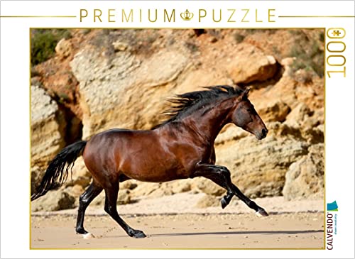 CALVENDO Puzzle EIN Motiv aus dem Kalender Caballos Spanische Pferde 2017 1000 Teile Puzzle quer | 1000 Teile Lege-Größe 64 x 48 cm Foto-Puzzle für glückliche Stunden CALVENDO Puzzle EIN Motiv aus dem Kalender Caballos Spanische Pferde 2017 1000 Teile Puzzle quer | 1000 Teile Lege-Größe 64 x 48 cm Foto-Puzzle für glückliche Stunden von CALVENDO
