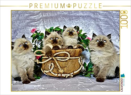 CALVENDO Puzzle EIN Motiv aus dem Kalender Cats IN HDR 1000 Teile Puzzle quer | 1000 Teile Lege-Größe 64 x 48 cm Foto-Puzzle für glückliche Stunden CALVENDO Puzzle EIN Motiv aus dem Kalender Cats IN HDR 1000 Teile Puzzle quer | 1000 Teile Lege-Größe 64 x 48 cm Foto-Puzzle für glückliche Stunden von CALVENDO