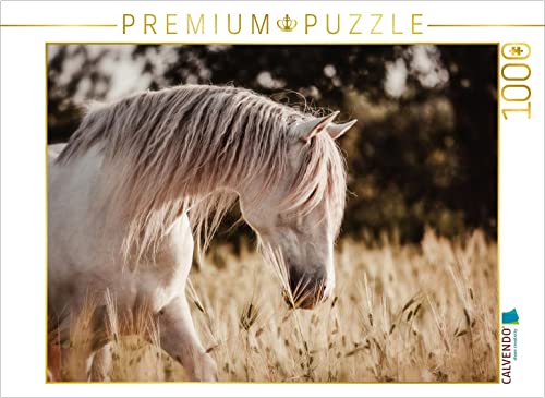 CALVENDO Puzzle EIN Motiv aus dem Kalender Die Faszinierende Welt der Pferde 1000 Teile Puzzle quer | 1000 Teile Lege-Größe 64 x 48 cm Foto-Puzzle für glückliche Stunden CALVENDO Puzzle EIN Motiv aus dem Kalender Die Faszinierende Welt der Pferde 1000 Teile Puzzle quer | 1000 Teile Lege-Größe 64 x 48 cm Foto-Puzzle für glückliche Stunden von CALVENDO
