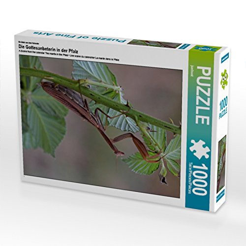 CALVENDO Puzzle EIN Motiv aus dem Kalender Die Gottesanbeterin in der Pfalz 1000 Teile Puzzle hoch | 1000 Teile Lege-Größe 48 x 64 cm Foto-Puzzle für glückliche Stunden von CALVENDO