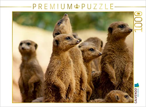 CALVENDO Puzzle EIN Motiv aus dem Kalender Die Welt der Erdmännchen. 1000 Teile Puzzle quer | 1000 Teile Lege-Größe 64 x 48 cm Foto-Puzzle für glückliche Stunden von CALVENDO