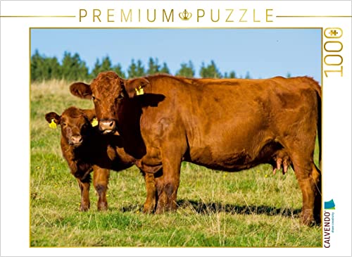 CALVENDO Puzzle EIN Motiv aus dem Kalender EIN Herz für Rinder 1000 Teile Puzzle quer | 1000 Teile Lege-Größe 64 x 48 cm Foto-Puzzle für glückliche Stunden von CALVENDO