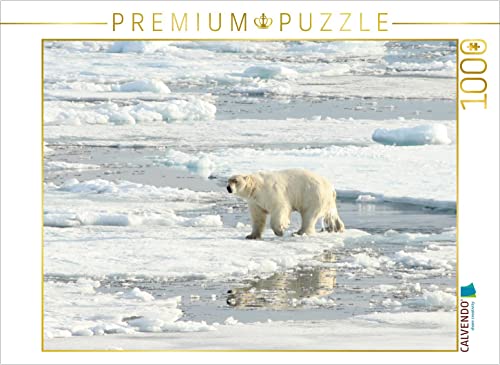 CALVENDO Puzzle EIN Motiv aus dem Kalender Eisbären - Könige der Arktis 1000 Teile Puzzle quer | 1000 Teile Lege-Größe 64 x 48 cm Foto-Puzzle für glückliche Stunden CALVENDO Puzzle EIN Motiv aus dem Kalender Eisbären - Könige der Arktis 1000 Teile Puzzle quer | 1000 Teile Lege-Größe 64 x 48 cm Foto-Puzzle für glückliche Stunden von CALVENDO