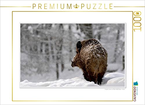 CALVENDO Puzzle EIN Motiv aus dem Kalender Emotional Moment: Die Eber. UK-Version 1000 Teile Puzzle quer | 1000 Teile Lege-Größe 64 x 48 cm Foto-Puzzle für glückliche Stunden CALVENDO Puzzle EIN Motiv aus dem Kalender Emotional Moment: Die Eber. UK-Version 1000 Teile Puzzle quer | 1000 Teile Lege-Größe 64 x 48 cm Foto-Puzzle für glückliche Stunden von CALVENDO
