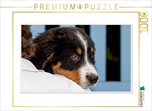 CALVENDO Puzzle EIN Motiv aus dem Kalender Emotionale Momente: Berner Sennenhund. / CH-Version 1000 Teile Puzzle quer | 1000 Teile Lege-Größe 64 x 48 cm Foto-Puzzle für glückliche Stunden von CALVENDO