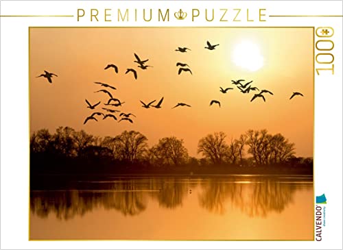 CALVENDO Puzzle EIN Motiv aus dem Kalender Emotionale Momente: Die Graugans. 1000 Teile Puzzle quer | 1000 Teile Lege-Größe 64 x 48 cm Foto-Puzzle für glückliche Stunden CALVENDO Puzzle EIN Motiv aus dem Kalender Emotionale Momente: Die Graugans. 1000 Teile Puzzle quer | 1000 Teile Lege-Größe 64 x 48 cm Foto-Puzzle für glückliche Stunden von CALVENDO