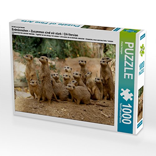 CALVENDO Puzzle EIN Motiv aus dem Kalender Erdmännchen – Zusammen sind wir stark/CH-Version 1000 Teile Puzzle quer | 1000 Teile Lege-Größe 64 x 48 cm Foto-Puzzle für glückliche Stunden CALVENDO Puzzle EIN Motiv aus dem Kalender Erdmännchen – Zusammen sind wir stark/CH-Version 1000 Teile Puzzle quer | 1000 Teile Lege-Größe 64 x 48 cm Foto-Puzzle für glückliche Stunden von CALVENDO