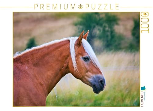 CALVENDO Puzzle EIN Motiv aus dem Kalender Familienfreundliche Pferde | 1000 Teile Lege-Größe 64 x 48 cm Foto-Puzzle für glückliche Stunden von CALVENDO