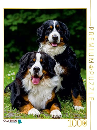 CALVENDO Puzzle EIN Motiv aus dem Kalender Faszination Berner Sennenhund 1000 Teile Puzzle hoch | 1000 Teile Lege-Größe 48 x 64 cm Foto-Puzzle für glückliche Stunden CALVENDO Puzzle EIN Motiv aus dem Kalender Faszination Berner Sennenhund 1000 Teile Puzzle hoch | 1000 Teile Lege-Größe 48 x 64 cm Foto-Puzzle für glückliche Stunden von CALVENDO