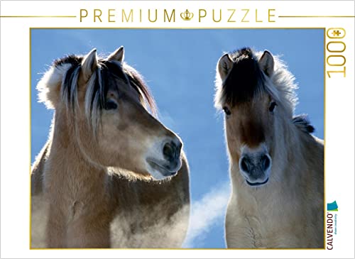 CALVENDO Puzzle EIN Motiv aus dem Kalender Fjordpferde - Norweger | 1000 Teile Lege-Größe 64 x 48 cm Foto-Puzzle für glückliche Stunden CALVENDO Puzzle EIN Motiv aus dem Kalender Fjordpferde - Norweger | 1000 Teile Lege-Größe 64 x 48 cm Foto-Puzzle für glückliche Stunden von CALVENDO