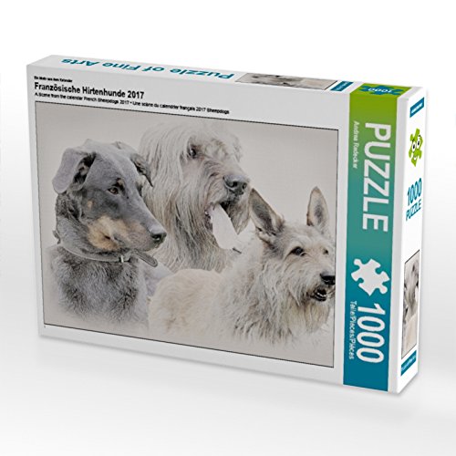 CALVENDO Puzzle EIN Motiv aus dem Kalender Französische Hirtenhunde 2017 1000 Teile Puzzle quer | 1000 Teile Lege-Größe 64 x 48 cm Foto-Puzzle für glückliche Stunden CALVENDO Puzzle EIN Motiv aus dem Kalender Französische Hirtenhunde 2017 1000 Teile Puzzle quer | 1000 Teile Lege-Größe 64 x 48 cm Foto-Puzzle für glückliche Stunden von CALVENDO