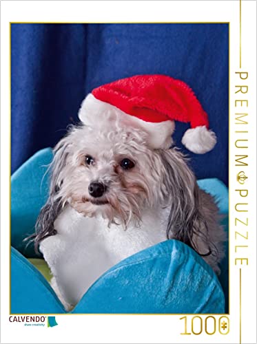 CALVENDO Puzzle EIN Motiv aus dem Kalender Funny Bolonka 1000 Teile Puzzle hoch | 1000 Teile Lege-Größe 48 x 64 cm Foto-Puzzle für glückliche Stunden CALVENDO Puzzle EIN Motiv aus dem Kalender Funny Bolonka 1000 Teile Puzzle hoch | 1000 Teile Lege-Größe 48 x 64 cm Foto-Puzzle für glückliche Stunden von CALVENDO