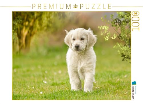 CALVENDO Puzzle EIN Motiv aus dem Kalender Golden Retriever... Herzenshunde | 1000 Teile Lege-Größe 64 x 48 cm Foto-Puzzle für glückliche Stunden CALVENDO Puzzle EIN Motiv aus dem Kalender Golden Retriever... Herzenshunde | 1000 Teile Lege-Größe 64 x 48 cm Foto-Puzzle für glückliche Stunden von CALVENDO