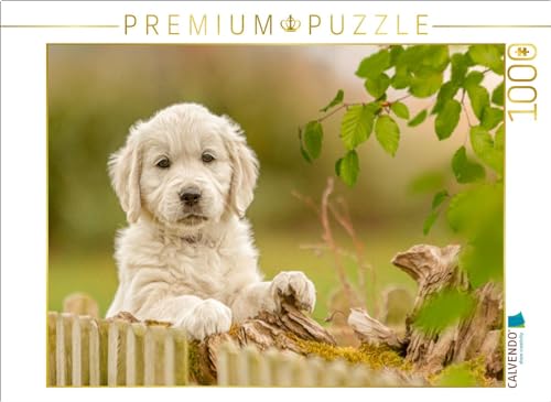 CALVENDO Puzzle EIN Motiv aus dem Kalender Golden Retriever... Herzenshunde | 1000 Teile Lege-Größe 64 x 48 cm Foto-Puzzle für glückliche Stunden CALVENDO Puzzle EIN Motiv aus dem Kalender Golden Retriever... Herzenshunde | 1000 Teile Lege-Größe 64 x 48 cm Foto-Puzzle für glückliche Stunden von CALVENDO