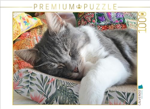 CALVENDO Puzzle EIN Motiv aus dem Kalender Häng einfach mal ab | 1000 Teile Lege-Größe 64 x 48 cm Foto-Puzzle für glückliche Stunden von CALVENDO