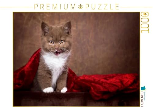 CALVENDO Puzzle EIN Motiv aus dem Kalender Kittens - Britisch Kurzhaar Katzenkinder | Lege-Größe cm Foto-Puzzle für glückliche Stunden CALVENDO Puzzle EIN Motiv aus dem Kalender Kittens - Britisch Kurzhaar Katzenkinder | Lege-Größe cm Foto-Puzzle für glückliche Stunden von CALVENDO