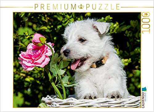 CALVENDO Puzzle EIN Motiv aus dem Kalender Kobold auf 4 Pfoten - West Highland White Terrier 1000 Teile Puzzle quer | 1000 Teile Lege-Größe 64 x 48 cm Foto-Puzzle für glückliche Stunden CALVENDO Puzzle EIN Motiv aus dem Kalender Kobold auf 4 Pfoten - West Highland White Terrier 1000 Teile Puzzle quer | 1000 Teile Lege-Größe 64 x 48 cm Foto-Puzzle für glückliche Stunden von CALVENDO
