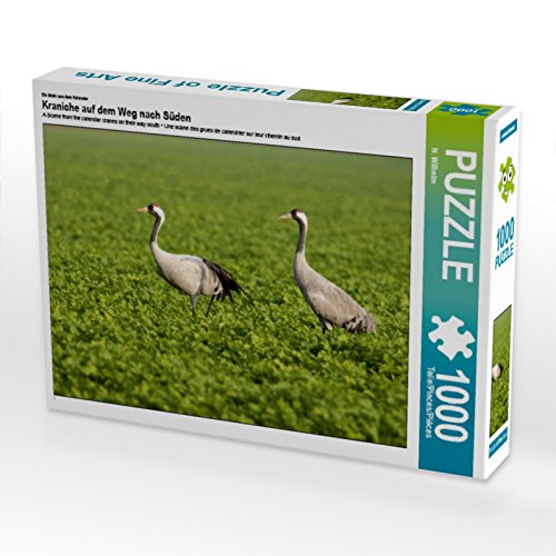 CALVENDO Puzzle EIN Motiv aus dem Kalender Kraniche auf dem Weg nach Süden 1000 Teile Puzzle quer | 1000 Teile Lege-Größe 64 x 48 cm Foto-Puzzle für glückliche Stunden CALVENDO Puzzle EIN Motiv aus dem Kalender Kraniche auf dem Weg nach Süden 1000 Teile Puzzle quer | 1000 Teile Lege-Größe 64 x 48 cm Foto-Puzzle für glückliche Stunden von CALVENDO