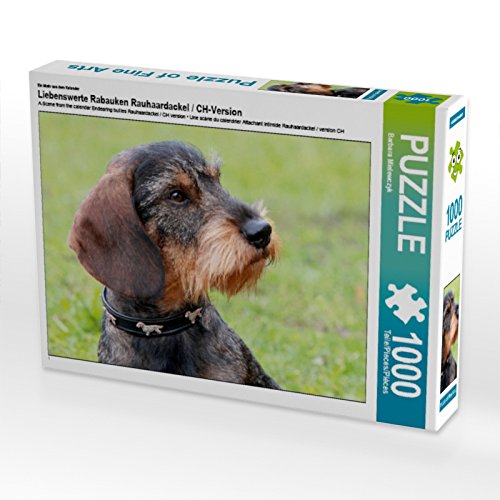CALVENDO Puzzle EIN Motiv aus dem Kalender Liebenswerte Rabauken Rauhaardackel/CH-Version 1000 Teile Puzzle quer | 1000 Teile Lege-Größe 64 x 48 cm Foto-Puzzle für glückliche Stunden CALVENDO Puzzle EIN Motiv aus dem Kalender Liebenswerte Rabauken Rauhaardackel/CH-Version 1000 Teile Puzzle quer | 1000 Teile Lege-Größe 64 x 48 cm Foto-Puzzle für glückliche Stunden von CALVENDO
