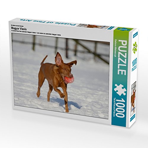CALVENDO Puzzle EIN Motiv aus dem Kalender Magyar Vizsla 1000 Teile Puzzle quer | 1000 Teile Lege-Größe 64 x 48 cm Foto-Puzzle für glückliche Stunden CALVENDO Puzzle EIN Motiv aus dem Kalender Magyar Vizsla 1000 Teile Puzzle quer | 1000 Teile Lege-Größe 64 x 48 cm Foto-Puzzle für glückliche Stunden von CALVENDO