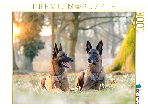 CALVENDO Puzzle EIN Motiv aus dem Kalender Malinois - Belgische Energiebündel 1000 Teile Puzzle quer | 1000 Teile Lege-Größe 64 x 48 cm Foto-Puzzle für glückliche Stunden CALVENDO Puzzle EIN Motiv aus dem Kalender Malinois - Belgische Energiebündel 1000 Teile Puzzle quer | 1000 Teile Lege-Größe 64 x 48 cm Foto-Puzzle für glückliche Stunden von CALVENDO