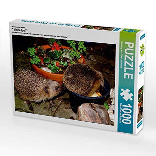 CALVENDO Puzzle EIN Motiv aus dem Kalender Meine Igel 1000 Teile Puzzle quer | 1000 Teile Lege-Größe 64 x 48 cm Foto-Puzzle für glückliche Stunden von CALVENDO