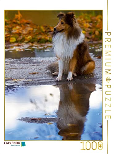 CALVENDO Puzzle EIN Motiv aus dem Kalender Mit Shelties durchs Jahr 1000 Teile Puzzle hoch | 1000 Teile Lege-Größe 48 x 64 cm Foto-Puzzle für glückliche Stunden von CALVENDO