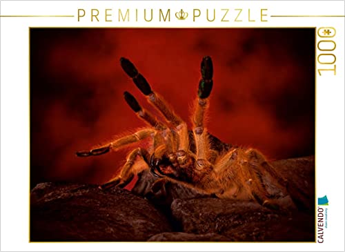 CALVENDO Puzzle EIN Motiv aus dem Kalender Mystische Vogelspinnen 1000 Teile Puzzle quer | 1000 Teile Lege-Größe 64 x 48 cm Foto-Puzzle für glückliche Stunden CALVENDO Puzzle EIN Motiv aus dem Kalender Mystische Vogelspinnen 1000 Teile Puzzle quer | 1000 Teile Lege-Größe 64 x 48 cm Foto-Puzzle für glückliche Stunden von CALVENDO