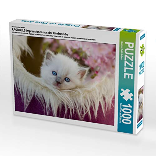 CALVENDO Puzzle EIN Motiv aus dem Kalender RAGDOLLS Impressionen aus der Kinderstube 1000 Teile Puzzle quer | 1000 Teile Lege-Größe 64 x 48 cm Foto-Puzzle für glückliche Stunden CALVENDO Puzzle EIN Motiv aus dem Kalender RAGDOLLS Impressionen aus der Kinderstube 1000 Teile Puzzle quer | 1000 Teile Lege-Größe 64 x 48 cm Foto-Puzzle für glückliche Stunden von CALVENDO