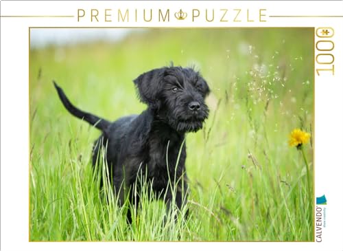 CALVENDO Puzzle EIN Motiv aus dem Kalender Riesenschnauzer... charakterstarke Hunde | 1000 Teile Lege-Größe 64 x 48 cm Foto-Puzzle für glückliche Stunden von CALVENDO