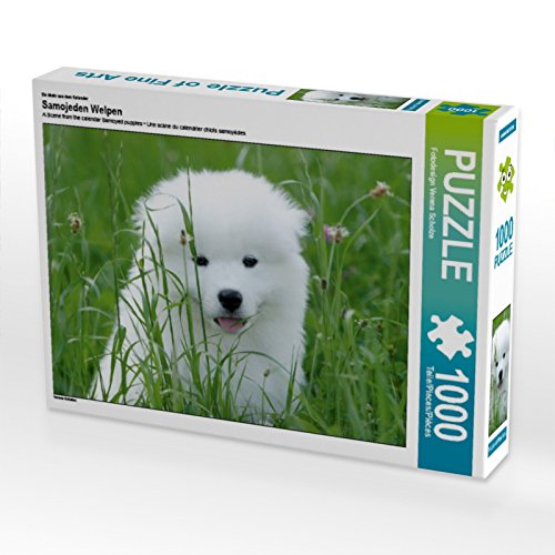 CALVENDO Puzzle EIN Motiv aus dem Kalender Samojeden Welpen 1000 Teile Puzzle quer | 1000 Teile Lege-Größe 64 x 48 cm Foto-Puzzle für glückliche Stunden CALVENDO Puzzle EIN Motiv aus dem Kalender Samojeden Welpen 1000 Teile Puzzle quer | 1000 Teile Lege-Größe 64 x 48 cm Foto-Puzzle für glückliche Stunden von CALVENDO