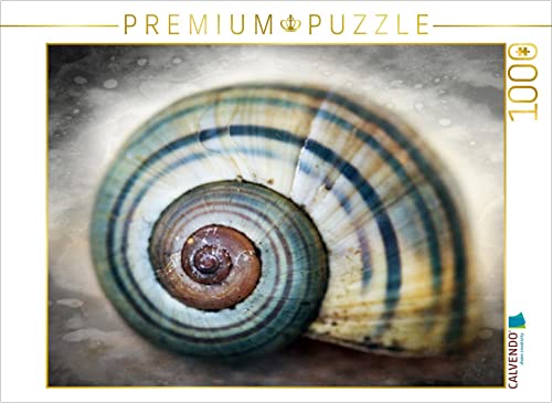 CALVENDO Puzzle EIN Motiv aus dem Kalender Schneckenhäuser 1000 Teile Puzzle quer | 1000 Teile Lege-Größe 64 x 48 cm Foto-Puzzle für glückliche Stunden CALVENDO Puzzle EIN Motiv aus dem Kalender Schneckenhäuser 1000 Teile Puzzle quer | 1000 Teile Lege-Größe 64 x 48 cm Foto-Puzzle für glückliche Stunden von CALVENDO