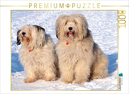 CALVENDO Puzzle EIN Motiv aus dem Kalender Tibet-Terrier - Eine Hunderasse mit Charakter 1000 Teile Puzzle quer | 1000 Teile Lege-Größe 64 x 48 cm Foto-Puzzle für glückliche Stunden CALVENDO Puzzle EIN Motiv aus dem Kalender Tibet-Terrier - Eine Hunderasse mit Charakter 1000 Teile Puzzle quer | 1000 Teile Lege-Größe 64 x 48 cm Foto-Puzzle für glückliche Stunden von CALVENDO