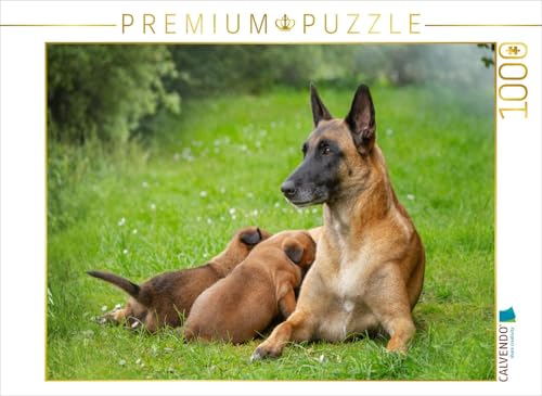CALVENDO Puzzle EIN Motiv aus dem Kalender Traumhund Malinois | 1000 Teile Lege-Größe 64 x 48 cm Foto-Puzzle für glückliche Stunden CALVENDO Puzzle EIN Motiv aus dem Kalender Traumhund Malinois | 1000 Teile Lege-Größe 64 x 48 cm Foto-Puzzle für glückliche Stunden von CALVENDO