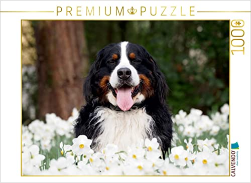 CALVENDO Puzzle EIN Motiv aus dem Kalender WAUZEBAER den Berner Sennenhund 1000 Teile Puzzle quer | 1000 Teile Lege-Größe 64 x 48 cm Foto-Puzzle für glückliche Stunden von CALVENDO