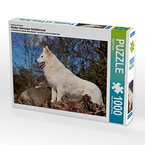 CALVENDO Puzzle EIN Motiv aus dem Kalender Weißer Schweizer Schäferhund 1000 Teile Puzzle quer | 1000 Teile Lege-Größe 64 x 48 cm Foto-Puzzle für glückliche Stunden CALVENDO Puzzle EIN Motiv aus dem Kalender Weißer Schweizer Schäferhund 1000 Teile Puzzle quer | 1000 Teile Lege-Größe 64 x 48 cm Foto-Puzzle für glückliche Stunden von CALVENDO