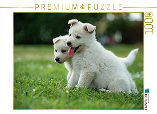 CALVENDO Puzzle EIN Motiv aus dem Kalender Welpen Zeit - Berger Blanc Suisse 1000 Teile Puzzle quer | 1000 Teile Lege-Größe 64 x 48 cm Foto-Puzzle für glückliche Stunden CALVENDO Puzzle EIN Motiv aus dem Kalender Welpen Zeit - Berger Blanc Suisse 1000 Teile Puzzle quer | 1000 Teile Lege-Größe 64 x 48 cm Foto-Puzzle für glückliche Stunden von CALVENDO