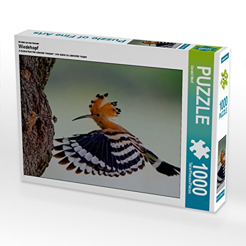 CALVENDO Puzzle EIN Motiv aus dem Kalender Wiedehopf 1000 Teile Puzzle quer | 1000 Teile Lege-Größe 64 x 48 cm Foto-Puzzle für glückliche Stunden CALVENDO Puzzle EIN Motiv aus dem Kalender Wiedehopf 1000 Teile Puzzle quer | 1000 Teile Lege-Größe 64 x 48 cm Foto-Puzzle für glückliche Stunden von CALVENDO