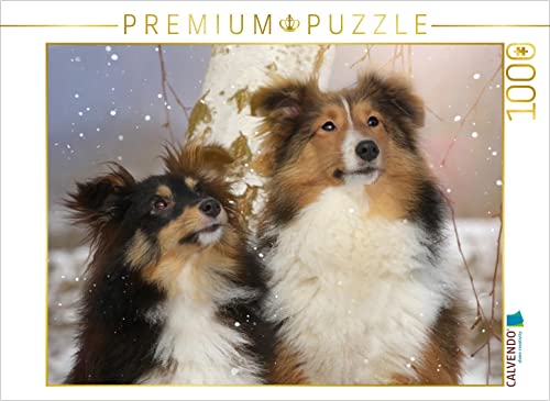 CALVENDO Puzzle EIN Motiv aus dem Kalender Wir lieben Shelties 1000 Teile Puzzle quer | 1000 Teile Lege-Größe 64 x 48 cm Foto-Puzzle für glückliche Stunden CALVENDO Puzzle EIN Motiv aus dem Kalender Wir lieben Shelties 1000 Teile Puzzle quer | 1000 Teile Lege-Größe 64 x 48 cm Foto-Puzzle für glückliche Stunden von CALVENDO
